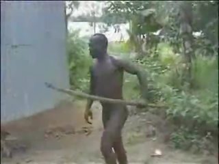 First-rate e ndyrë i gjallë i vështirë afrikane xhungël qirje!