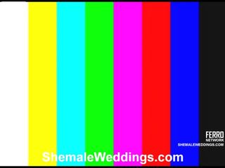 Awesome Shemale Weddings film With Amazing sex movie Stars Carol, Lorena, Milena