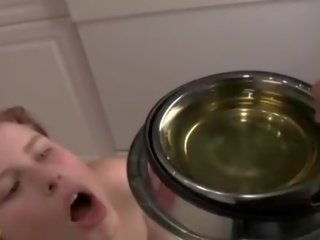 Leashed dahlia dricka piss från en hund bowl