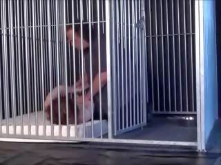 Τιμωρία κελί featuring isabel κοσμήτορας