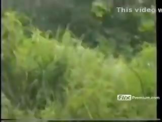 Phenola grandi מזוין ב tropical יער