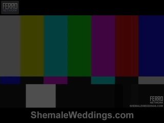 Shemale Weddings Proudly Presents Senna, Camile, Patricia_bismarck In xxx clip Scene