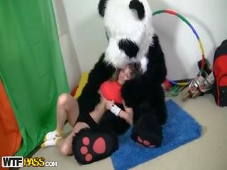 Desportivo fascinante jovem grávida fode involving divertido panda