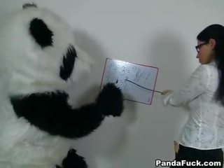 Erotic teacher for turned on Panda bear