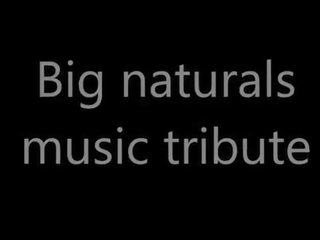 Pmv - música tribute grande naturais