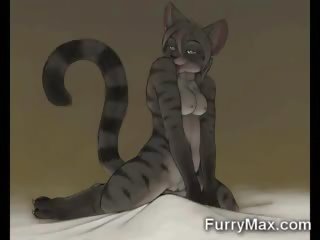 Super strip furry cats!